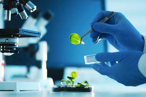 确保中秋节月饼质量与安全的综合检测与监控方案