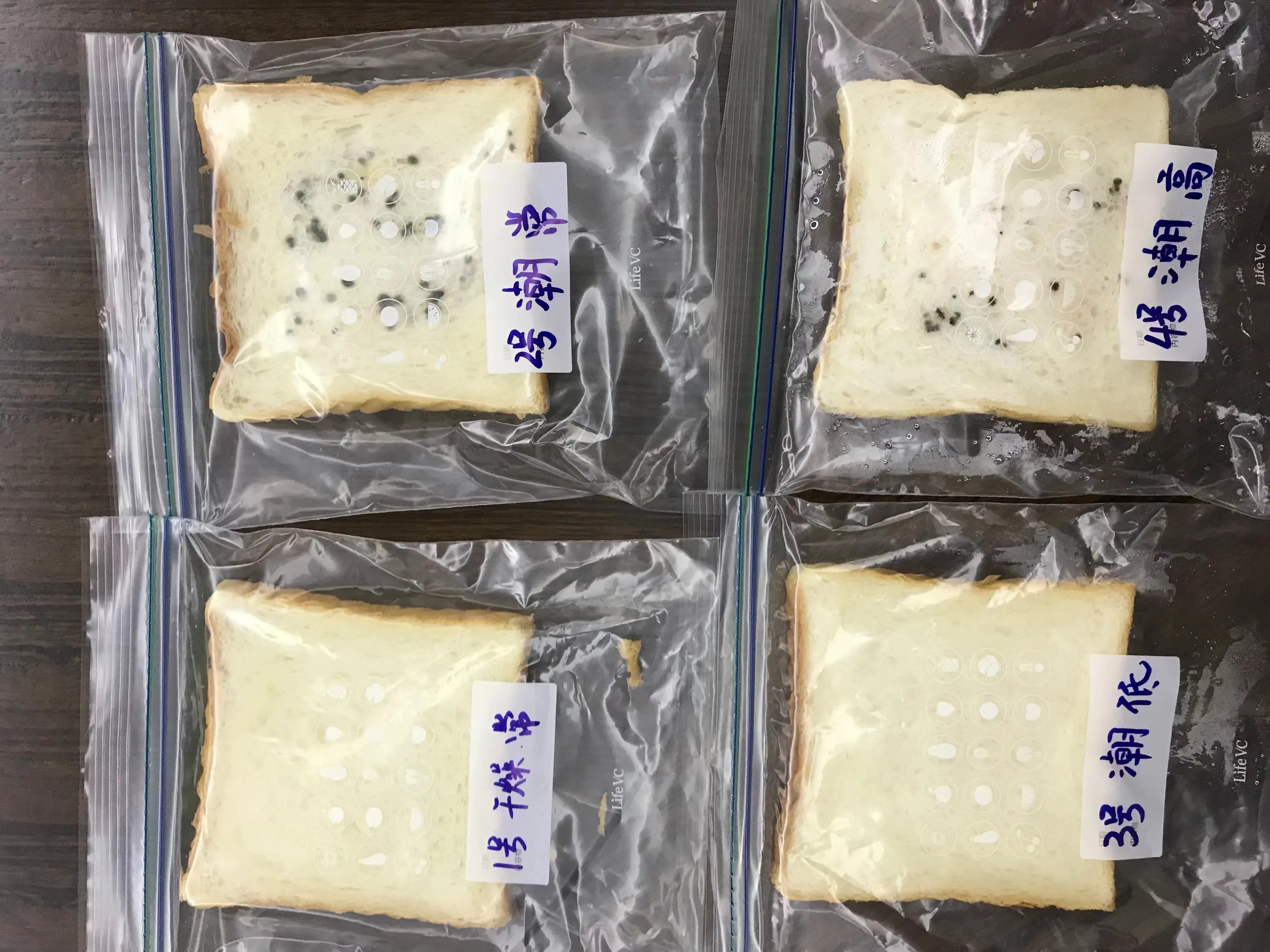 深入分析月饼质检证书的保质期