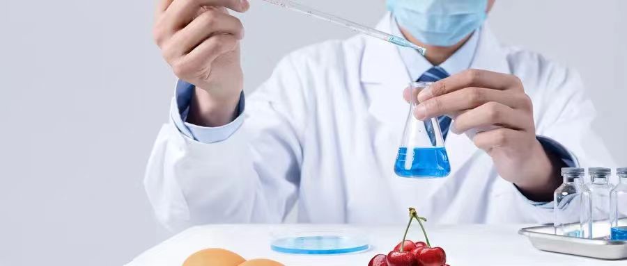 保障食品安全，从甘肃食品安全登录网站注册开始