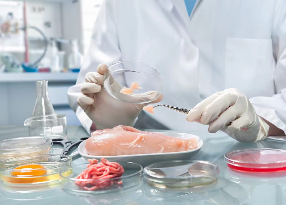 全面解析乳制品检测的标准与流程，确保食品安全与消费者健康