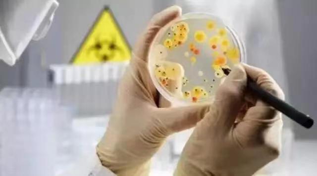 针对豆制品加工过程中废水排放的处理技术，提供全面解析和解决方案。