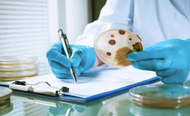 全面解析核酸检测预登记的意义、流程和实施细节