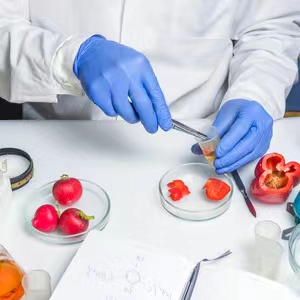 探讨豆类制品检测中出现阳性结果的原因与影响及应对措施 探讨豆类制品检测中出现阳性结果的原因与影响及应对措施