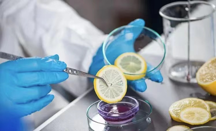 获取首都机场最新招聘动态,了解岗位要求与福利待遇。 获取首都机场最新招聘动态,了解岗位要求与福利待遇。